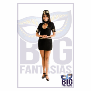 Comissária de Bordo ( 2 )